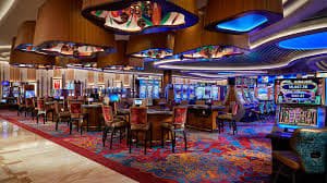 wynn500